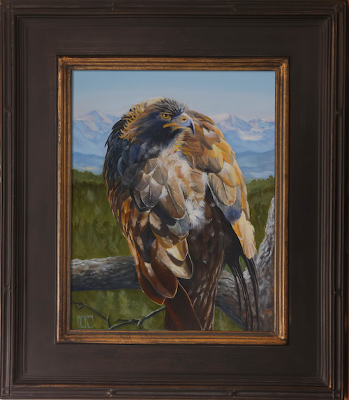 Golden Eagle 14x11 $1300 by ED MCKAY